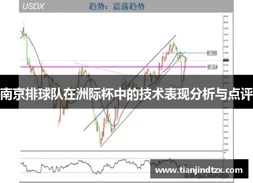 南京排球队在洲际杯中的技术表现分析与点评