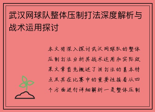 武汉网球队整体压制打法深度解析与战术运用探讨